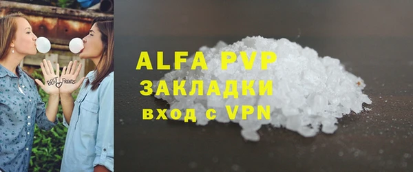 гидра Новодвинск