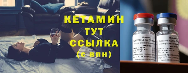 гидра Новодвинск
