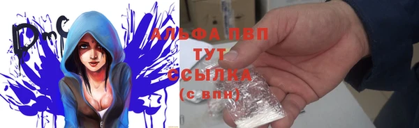 шишки Новозыбков