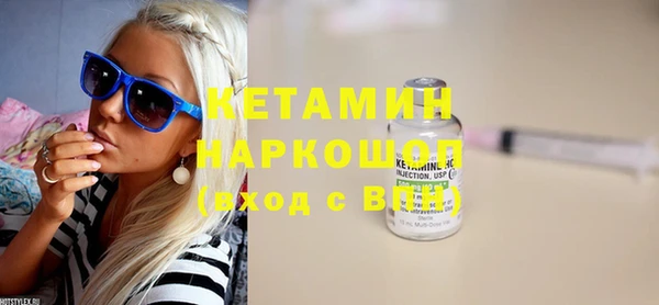 шишки Новозыбков