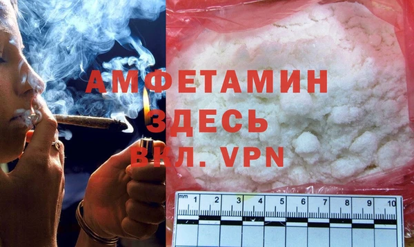 гидра Новодвинск