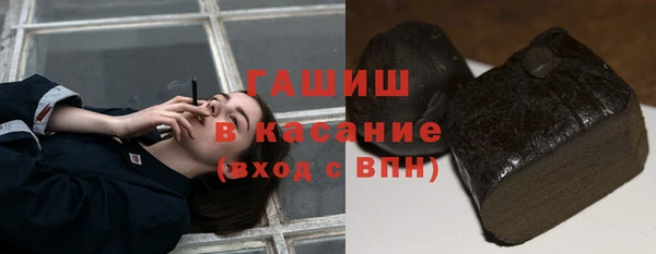 шишки Новозыбков