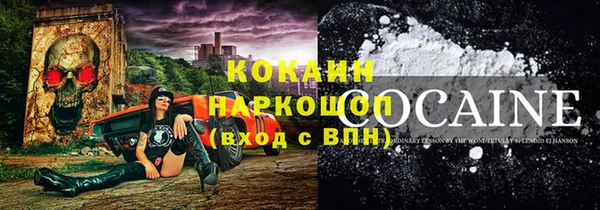 гидра Новодвинск