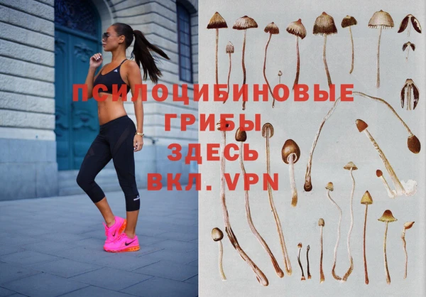 гидра Новодвинск