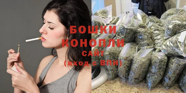 шишки Новозыбков