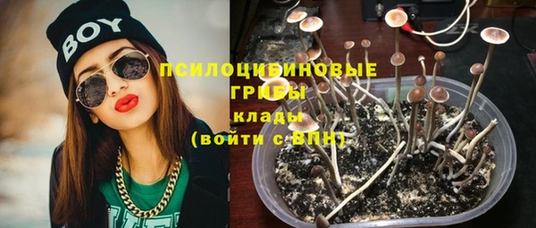 гидра Новодвинск