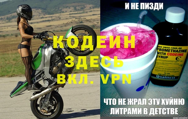 шишки Новозыбков