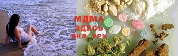 шишки Новозыбков