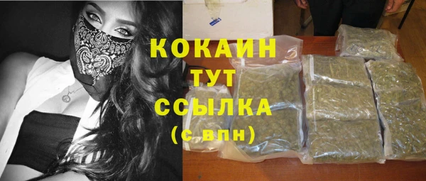 шишки Новозыбков