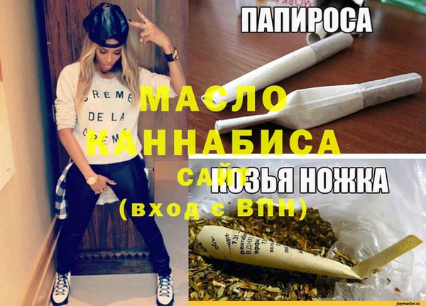 гидра Новодвинск